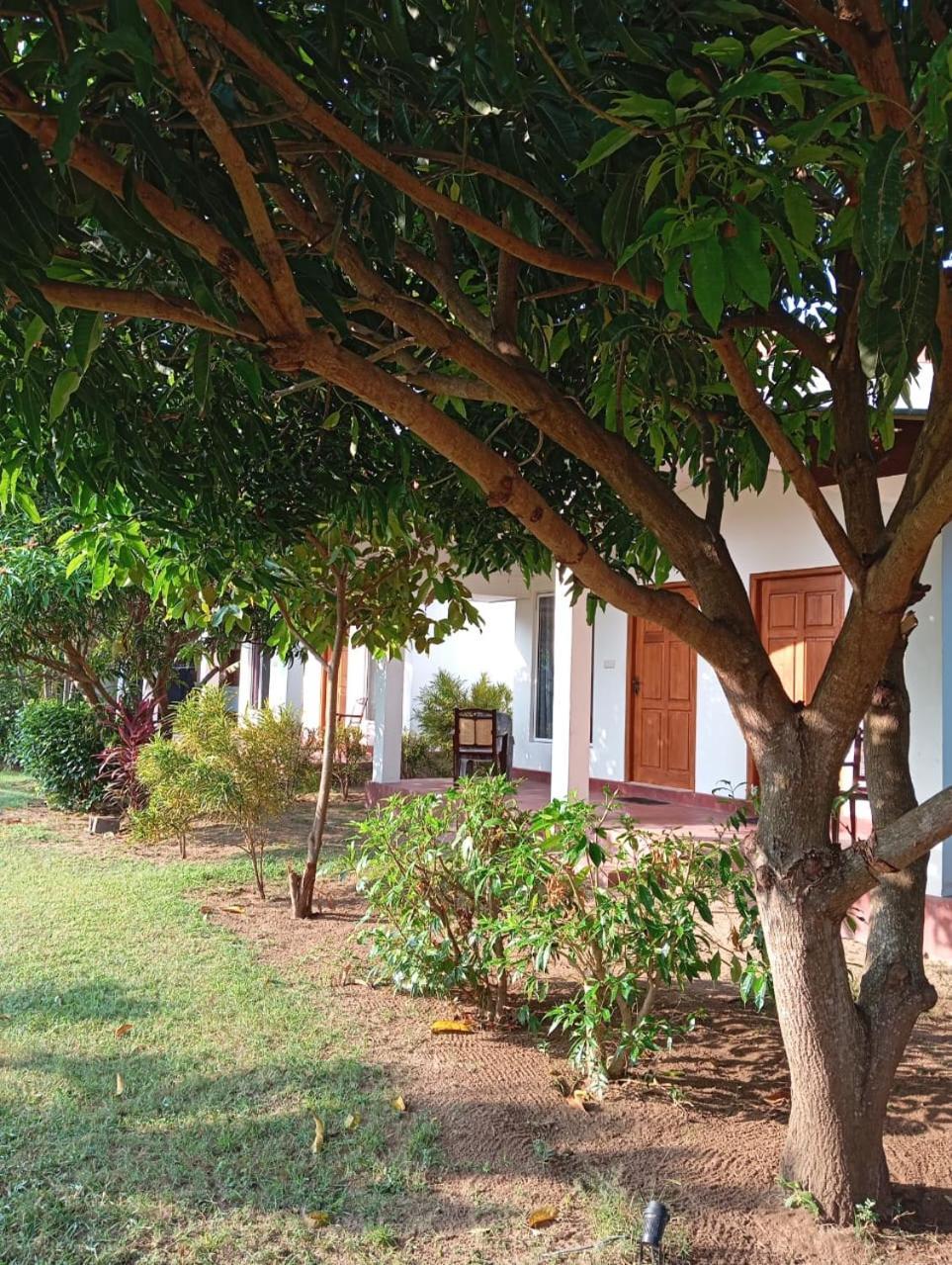 Jeys Place นิลาเวลี ภายนอก รูปภาพ