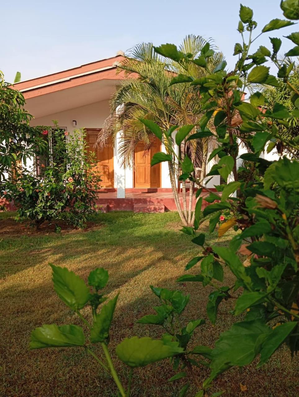 Jeys Place นิลาเวลี ภายนอก รูปภาพ