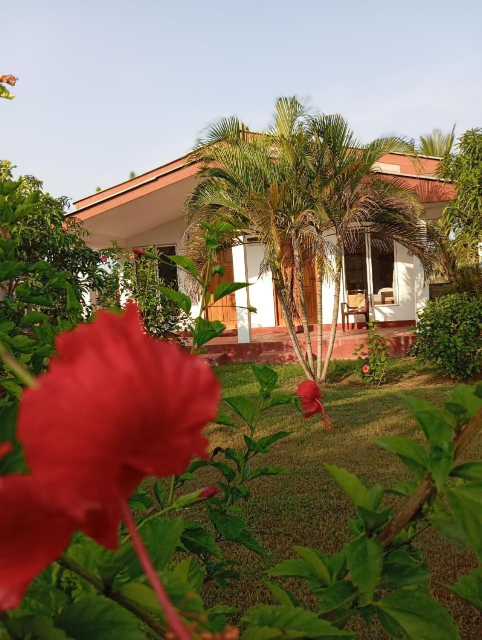 Jeys Place นิลาเวลี ภายนอก รูปภาพ