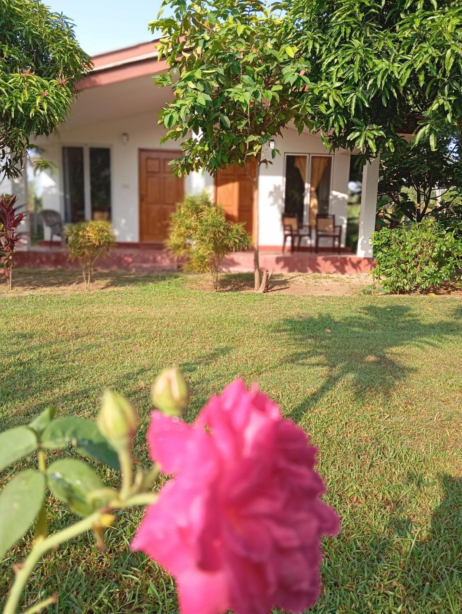 Jeys Place นิลาเวลี ภายนอก รูปภาพ