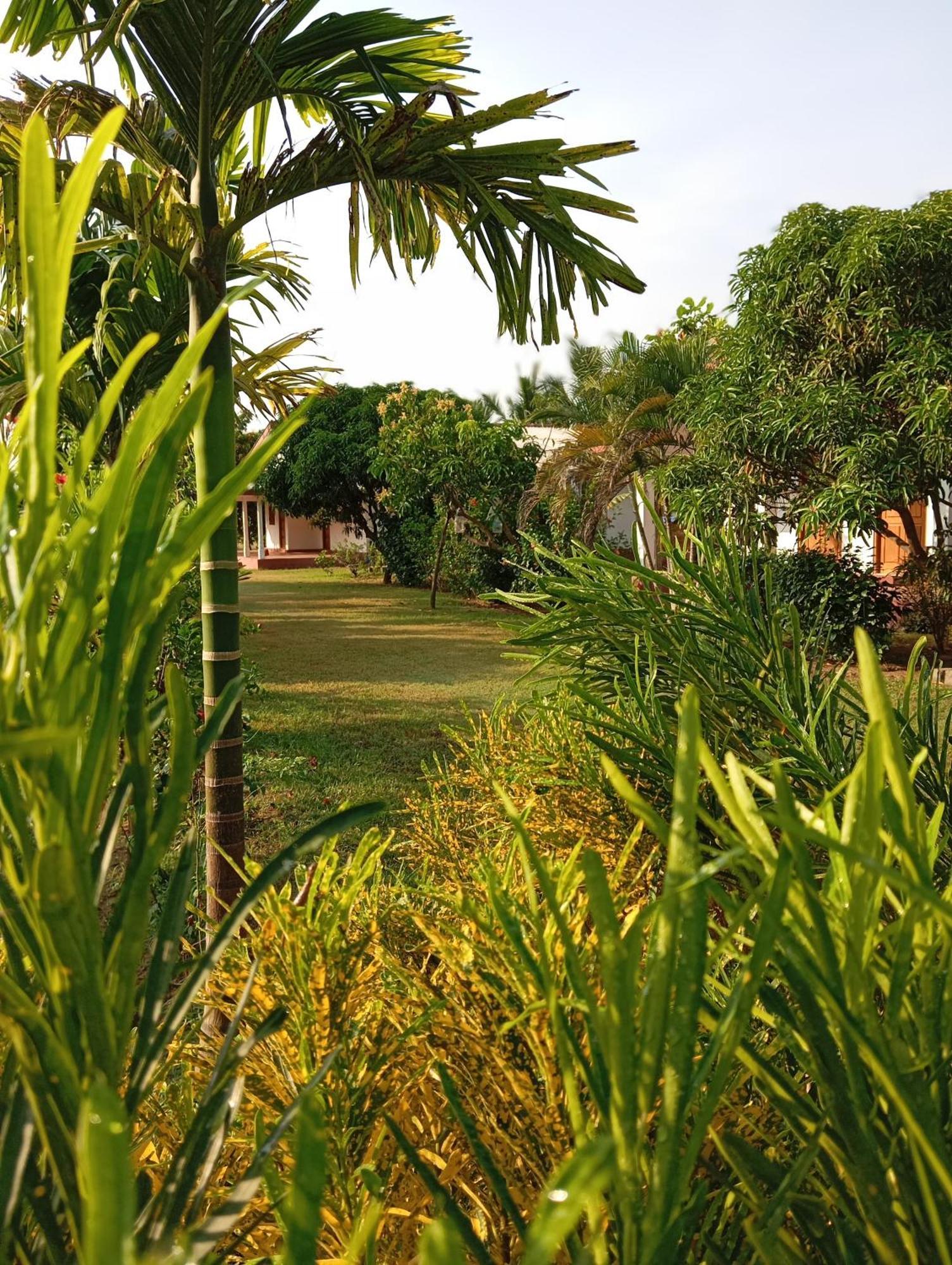 Jeys Place นิลาเวลี ภายนอก รูปภาพ